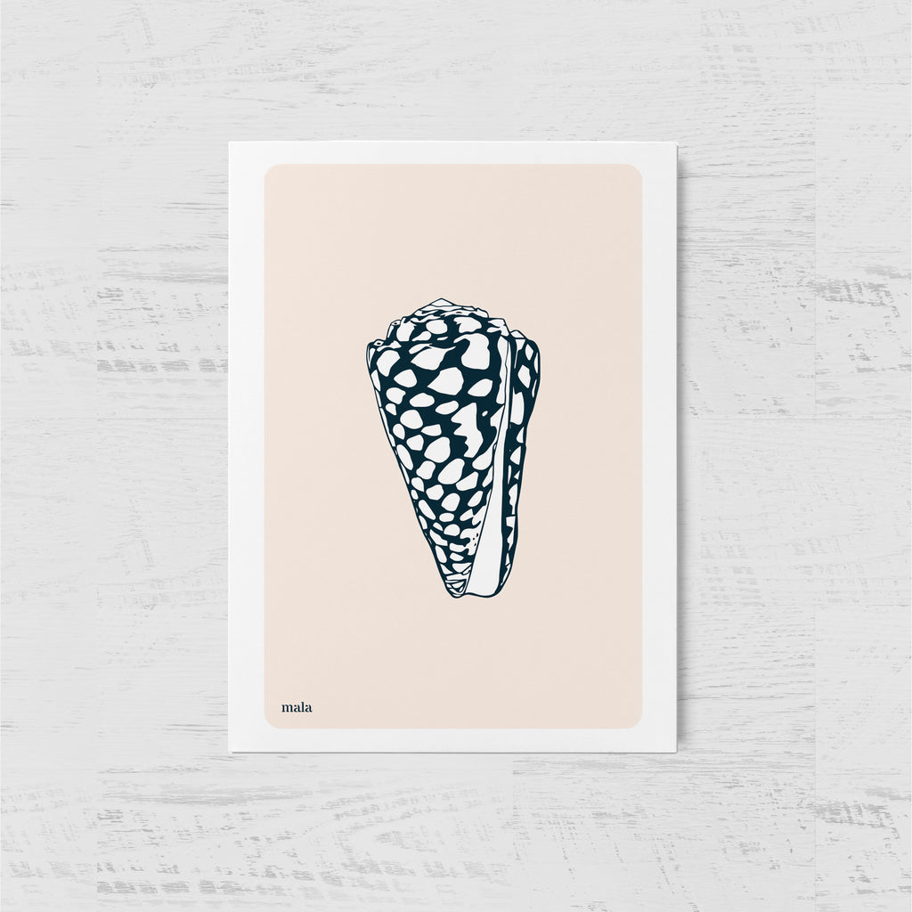 CONCH - גלויית קונכיה Small postcard