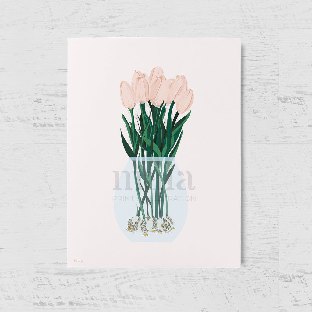 TULIPS BOUQUET - גלויית טוליפ באגרטל Large postcard