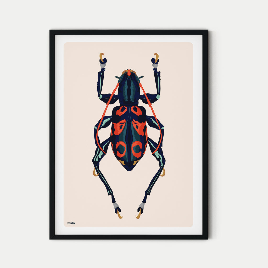 NICE BEETLE - הדפס חיפושית  Small poster